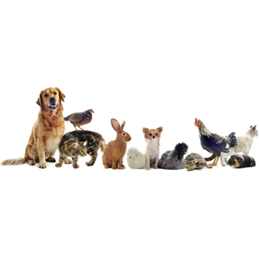Ash Croft Vets - Hardwick logo