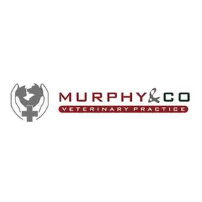 Murphy and Co Vets - Porthmadog logo