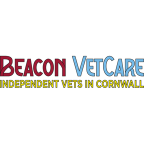 Beacon VetCare - Summercourt logo