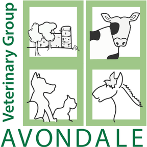Avondale Vets logo