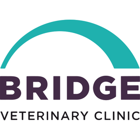 Bridge Veterinary Clinic - Lechlade logo