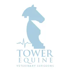 Tower Equine Veterinary Surgeons logo