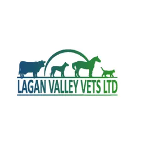 Lagan Valley Vets logo