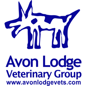 Avon Lodge Vets - Bishopsworth logo