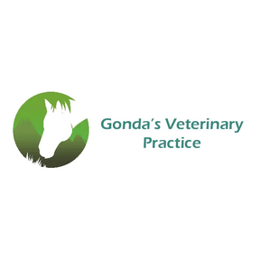 Gonda’s Veterinary Practice logo