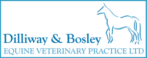 DB Equine Vets logo