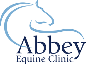 Abbey Equine - Abergavenny logo
