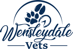 Wensleydale Vets - Leyburn logo