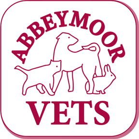 Abbey Moor Vets - Halifax Road logo