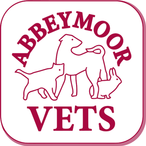 Abbey Moor Vets - Abbey Lane logo