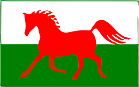 Dyffryn Tywi Equine Clinic logo
