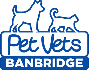 Banbridge Pet Vets logo