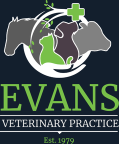 Evans Veterinary Practice logo