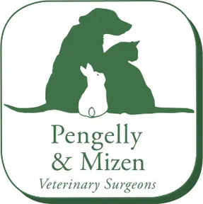 Pengelly and Mizen logo