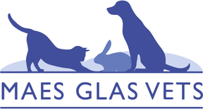 Maesglas Vets - Barry logo