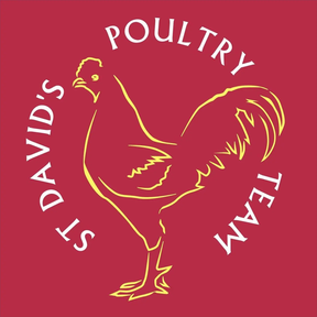 St David's Poultry Team - Newark logo