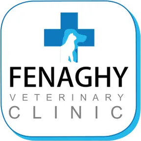 Fenaghy Vets - Antrim logo