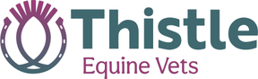Thistle Equine Vets - Brown Egg logo