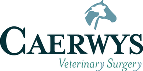 Caerwys Veterinary Surgery - Rhyl logo