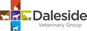 Daleside Vets - Shotton logo