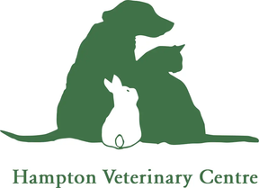 Hampton Vets logo