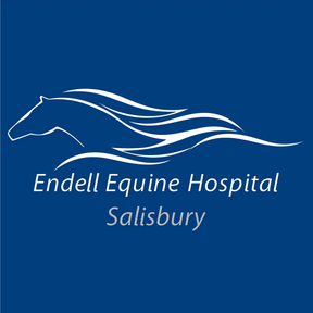 Endell Equine Hospital logo