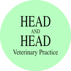 Head & Head logo