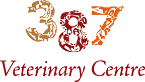 387 Vets logo