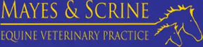Mayes & Scrine Equine Vets logo