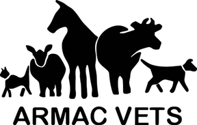 ARMAC Vets - Biggar logo