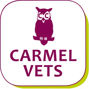Carmel Vets - Fallings Park logo