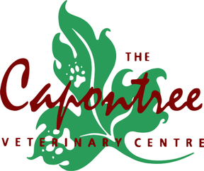 Capontree Vets - Longtown logo