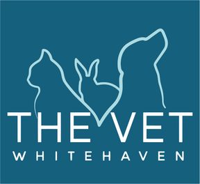 The Vet Whitehaven logo