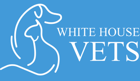 White House Vets logo