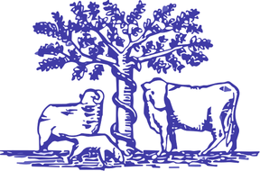 Bredy Veterinary Centre logo