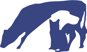 Lisburn Vets - Lisburn logo