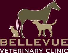 Bellevue Vets - Trudoxhill logo