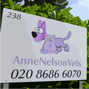 Anne Nelson Vets logo