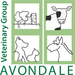 Avondale Vets logo