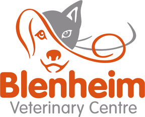 Blenheim Vets - Ashbourne logo