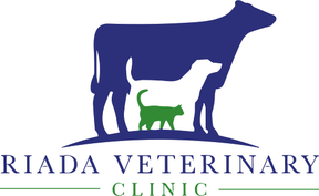 Riada Veterinary Clinic logo