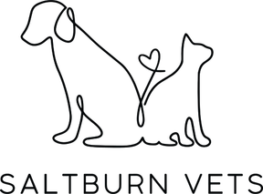 Saltburn Vets logo