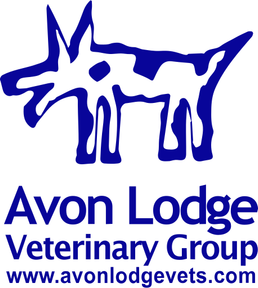 Avon Lodge Vets - Bishopsworth logo
