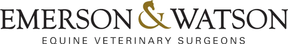 Emerson and Watson logo