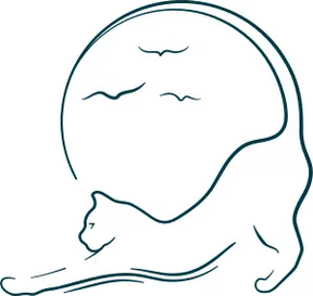 The Coastal Cat Vet logo