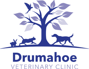 Drumahoe Veterinary Clinic logo