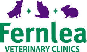 Fernlea Veterinary Clinic - Hanham logo