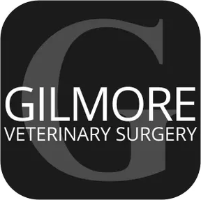 Gilmore Vets - Wigan logo
