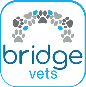 Bridge Vets Aberdeen - Cults logo