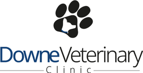Down Vets - Downpatrick logo